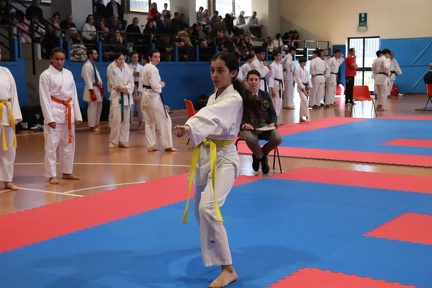 IMG 9447